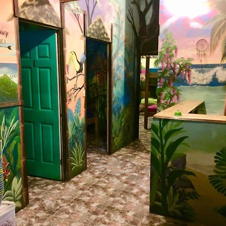 Oasis Beachfront Hostel Puerto Limon Zewnętrze zdjęcie