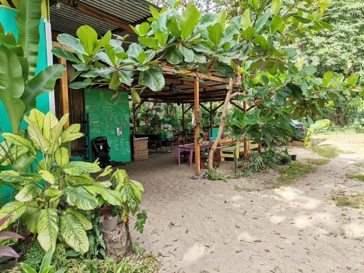 Oasis Beachfront Hostel Puerto Limon Zewnętrze zdjęcie