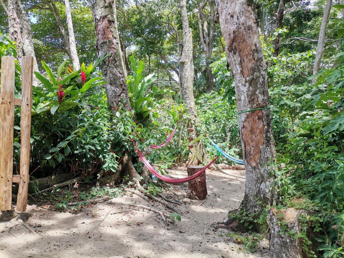 Oasis Beachfront Hostel Puerto Limon Zewnętrze zdjęcie