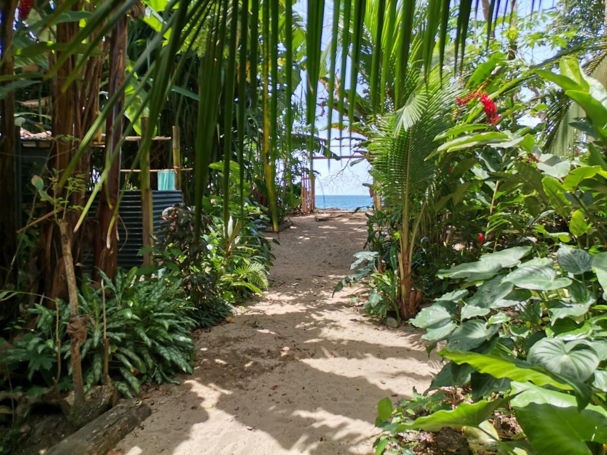Oasis Beachfront Hostel Puerto Limon Zewnętrze zdjęcie