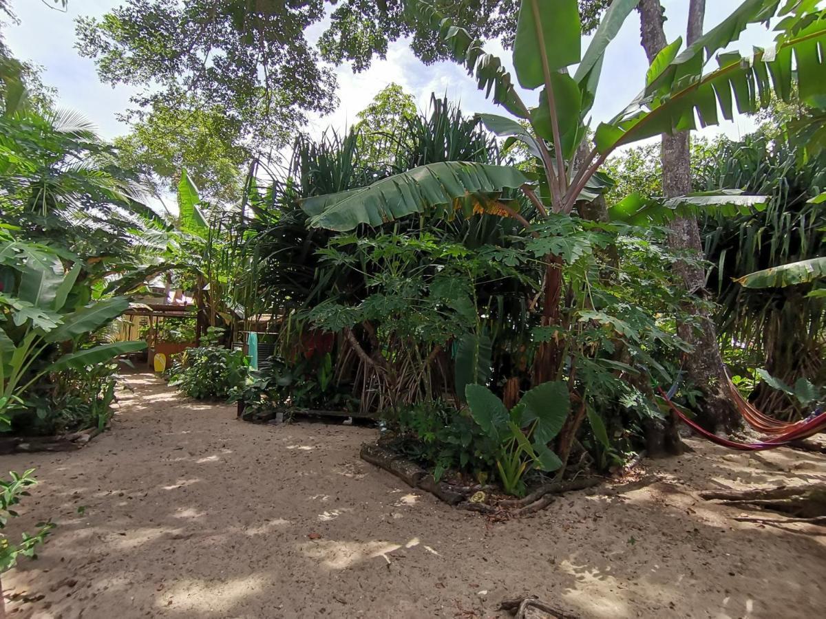 Oasis Beachfront Hostel Puerto Limon Zewnętrze zdjęcie