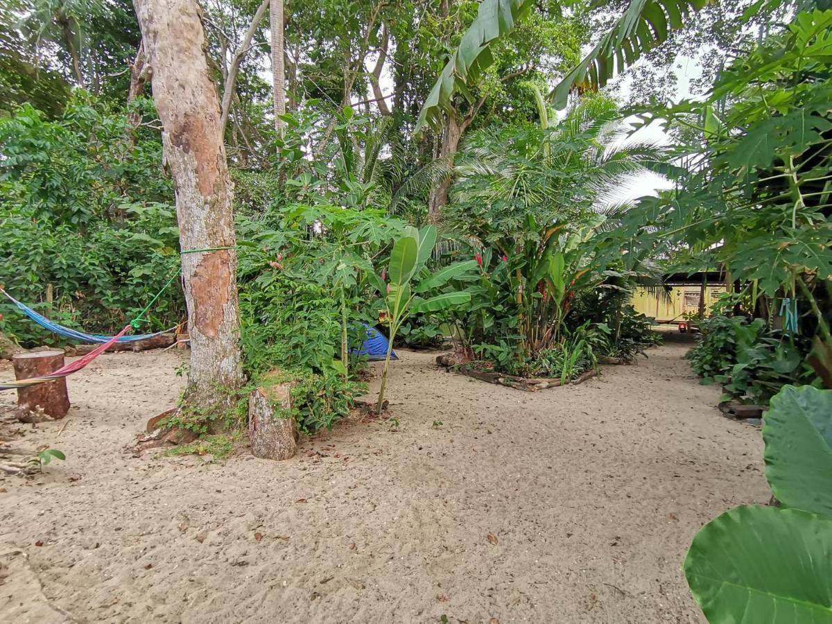 Oasis Beachfront Hostel Puerto Limon Zewnętrze zdjęcie