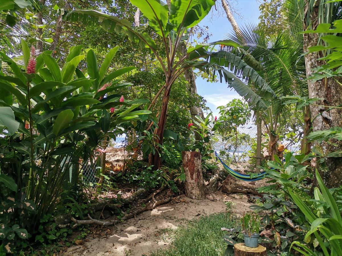 Oasis Beachfront Hostel Puerto Limon Zewnętrze zdjęcie